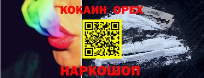 гашик Кингисепп