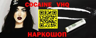 гашик Кингисепп