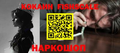 гашик Кингисепп