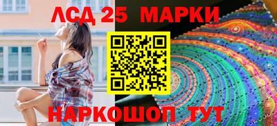гашик Кингисепп
