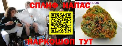 гашик Кингисепп