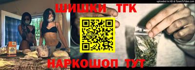 гашик Кингисепп