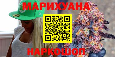 гашик Кингисепп
