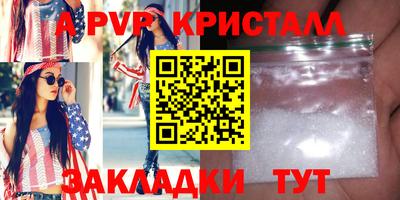 гашик Кингисепп