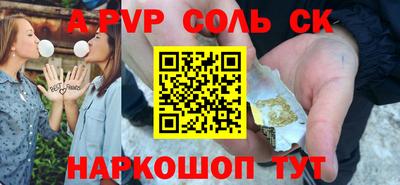 гашик Кингисепп