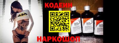гашик Кингисепп