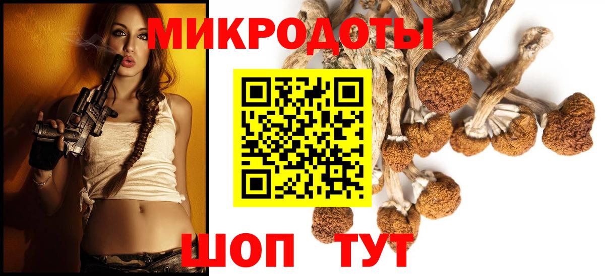 Галлюциногенные грибы мухоморы  купить наркотик  Кострома  Вход с VPN 