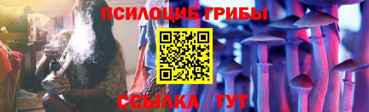 Псилоцибиновые грибы MAGIC MUSHROOMS Кострома